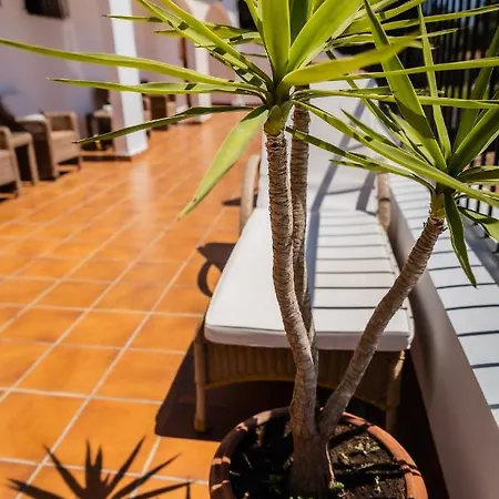 Hotel Paloma Blanca Boutique Marbellac