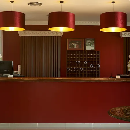 Hotel Paloma Blanca Boutique (adults Only) 2*