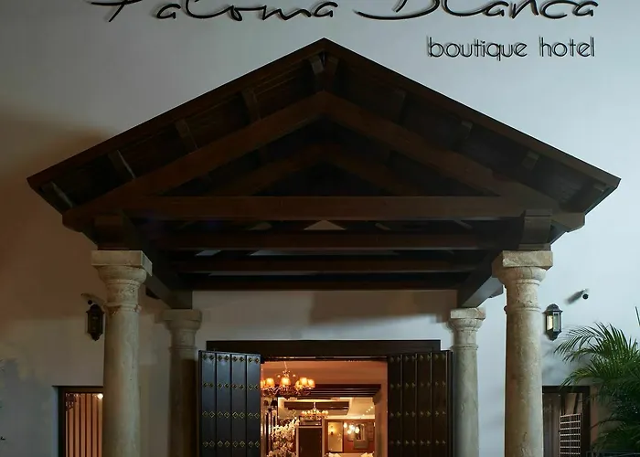 Hotel Paloma Blanca Boutique (adults Only) 2*